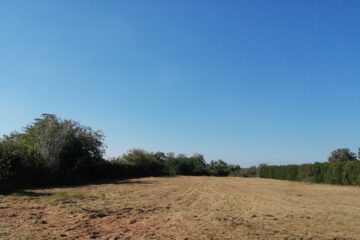 IMG_20210922_160138.jpg