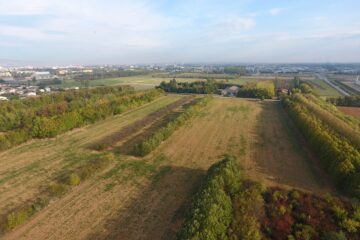 DJI_0022.jpg